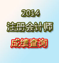 2014注册会计师成绩查询