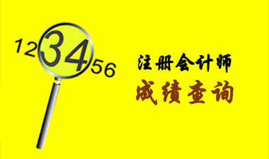 注册会计师成绩查询