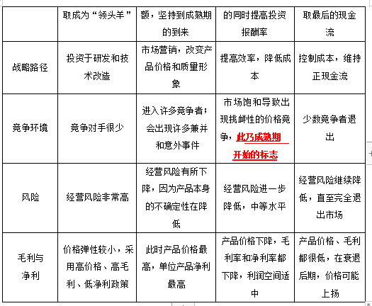 CPA战略生命周期.png