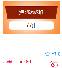 CPA审计.png