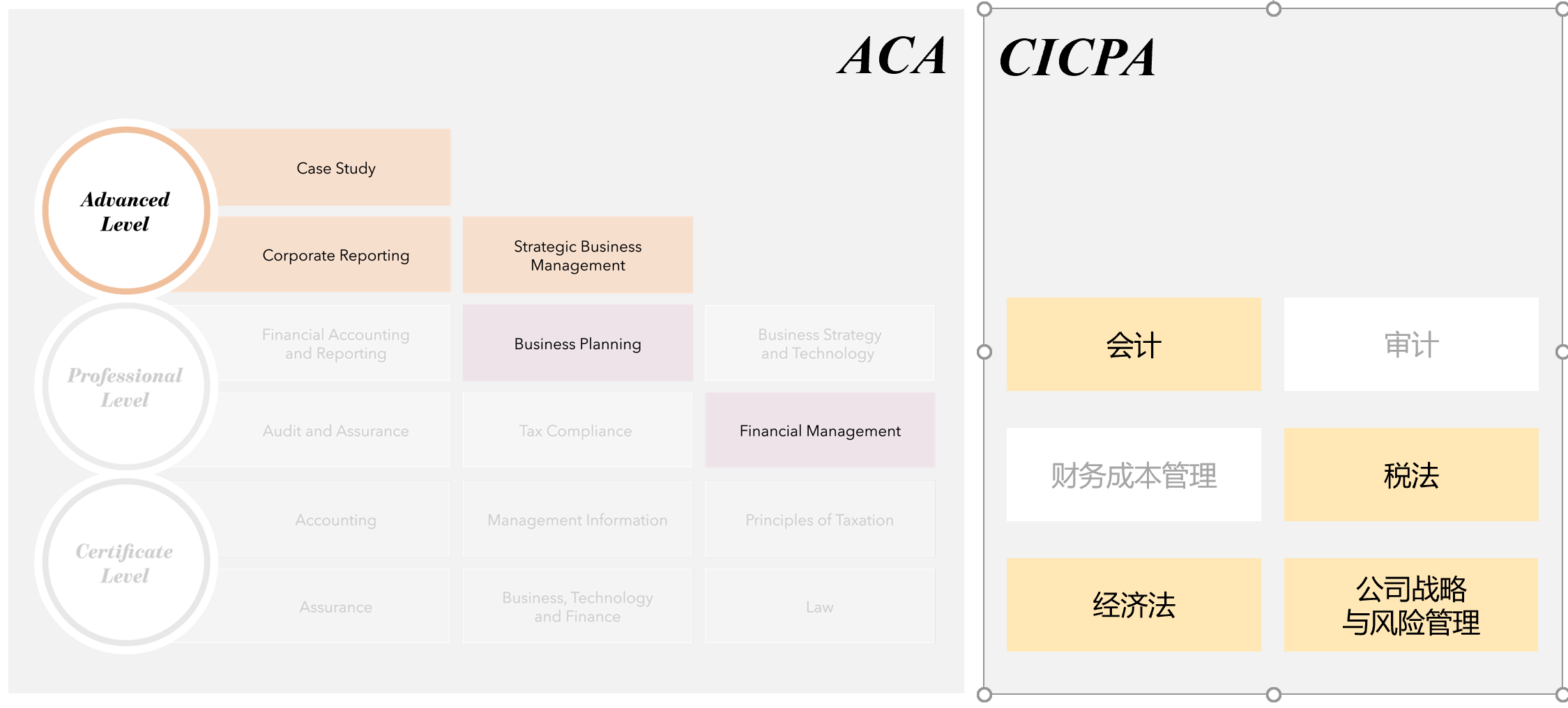 ICAEW(英格兰及威尔士特许会计师协会)与