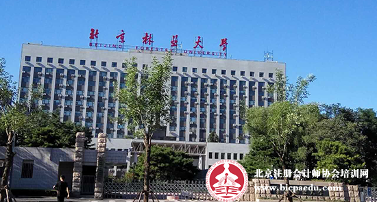 2016年注会综合阶段考试拉开帷幕